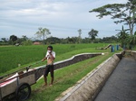 14566IMG_4932.JPG