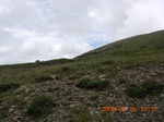 34701PEWA08PP2W.jpg