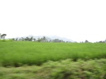 15361IMG_4206.JPG
