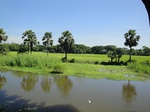 21339DSC00604.JPG