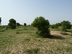 19118P1000963.JPG