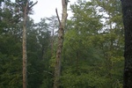 57859IMG_9476.JPG
