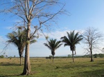 31937IMG_5666.JPG