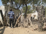 26777Vounaloum Cameroon 012.jpg