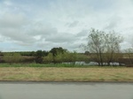 35869DSC02637.JPG