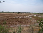 51820Tank ID 1800021 Kamathanahalli.JPG