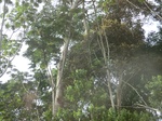 48517CIMG4854.JPG