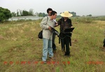 39038CIMG4533.gps.jpg
