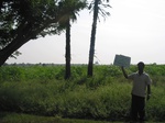 7717gt0123a-cultivated-rainfed-supplemented-castrol.jpg