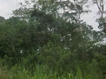 49933CIMG6270.JPG