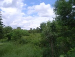 26177RIMG0229.JPG