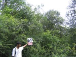 1056069-forest-remnant-degraded-a.gif