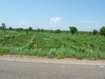 19571P1010418.JPG
