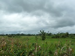 18273P1000109.JPG