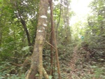 50256DSC02057.JPG