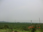 33013CIMG2172.JPG