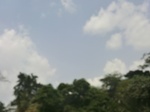 49580CIMG5917.JPG