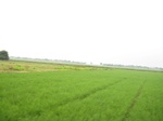 14455IMG_4808.JPG