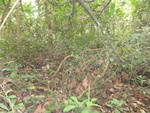 46823DSC02161.JPG