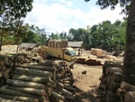 31531CIMG1397.JPG