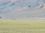 37729CIMG1536.JPG