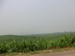 32936CIMG2081.JPG