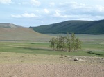 23180P1020720.JPG