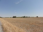 35006DSC01908.JPG