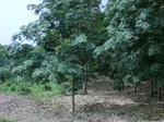 44130CIMG1315.JPG