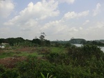 46602CIMG0891.JPG