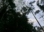 46443CIMG0732.JPG