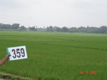 132850359c-irrigated-canal-rice-doublecrop-greengram-blackgram-tripplecrop.gif