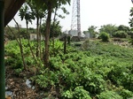 50867CIMG0567.JPG