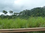 25250P1020093.JPG