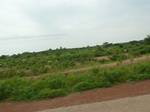 18685P1000523.JPG