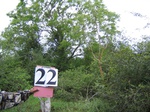 1184923-forest-lowland-young-shrubs-denseb.jpg