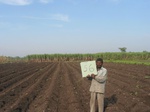 7836gt056a-irrigated-major-mixed-crops-sugarcane-dominant.jpg