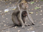 14534IMG_4895.JPG