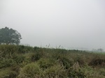 40225CIMG9235.JPG