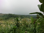 30836CIMG0686.JPG