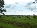 19693P1010542.JPG