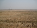 8414IMG_0239.JPG