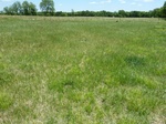 29191CENT20110516GPS.JPG