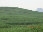 34757CIMG2588.JPG