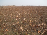 8585IMG_0384.JPG