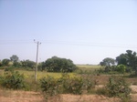 9036RIMG0114.JPG
