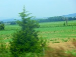 57667CIMG4259.JPG