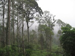 13581IMG_3835.JPG