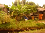 55113Berau (43).JPG