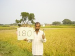 11390gt180-cropland-1.jpg